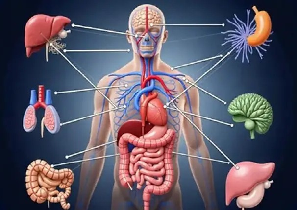 Endocrinological Disorder in Men